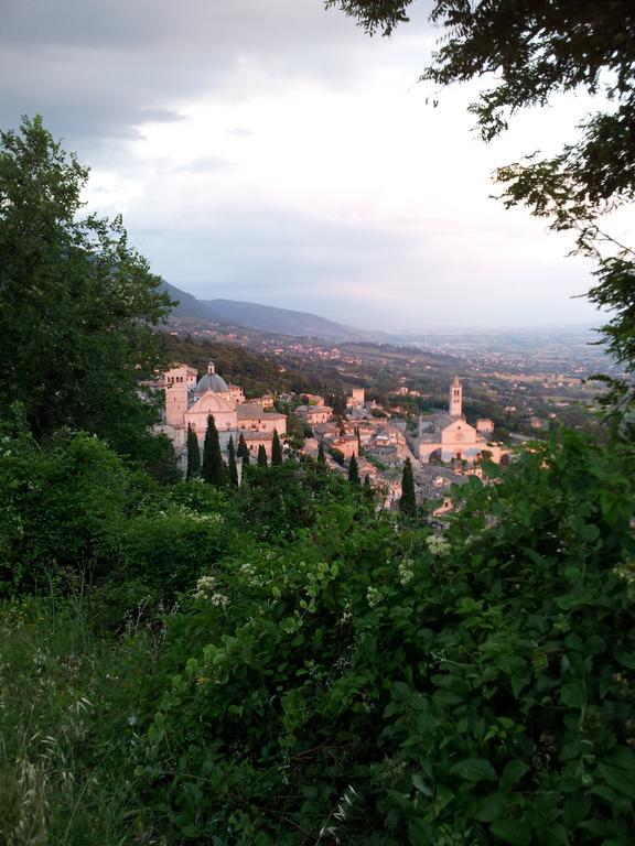 La Corte Degli Angeli Locazioni Turistiche 아시시 외부 사진
